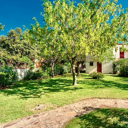 Graziosi A Con Aria Condizionata A 300 Mt Dal Mare *