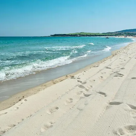 Graziosi A Con Aria Condizionata A 300 Mt Dal Mare Appartement