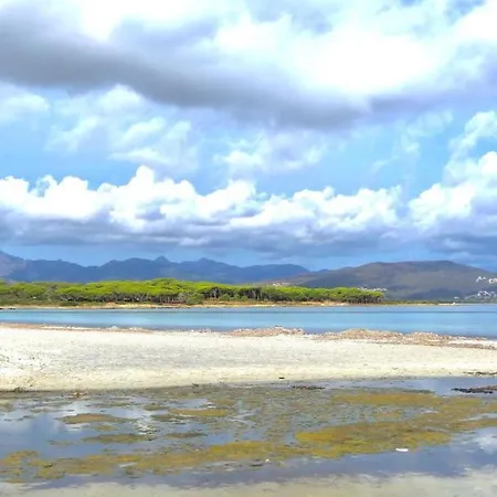 Daire Graziosi A Con Aria Condizionata A 300 Mt Dal Mare